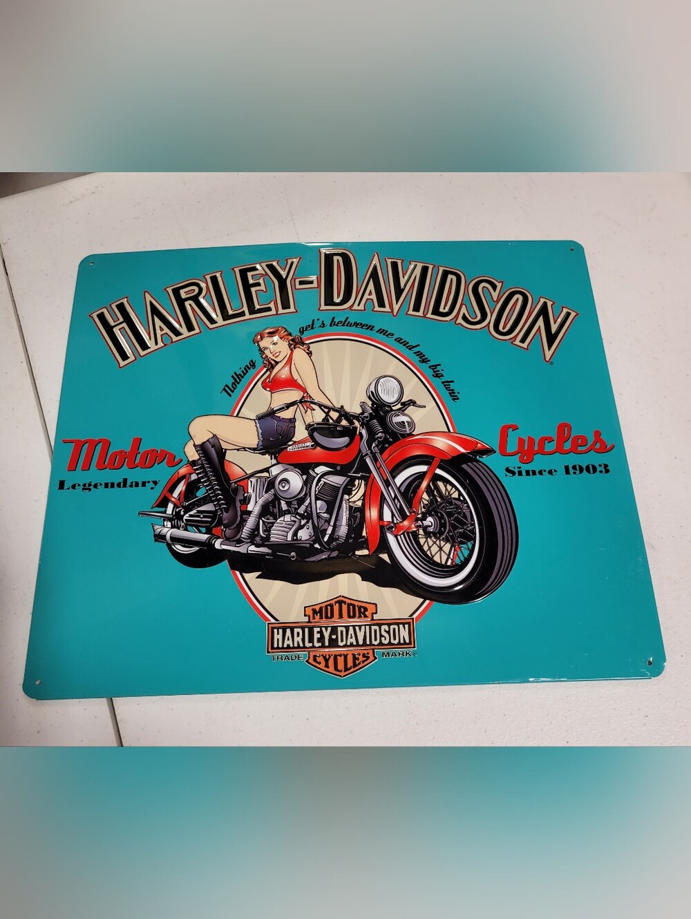 Harley-Davidson Teal and Red Motorcycle Wall Art